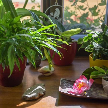 Penzion a wellness U Třeboňské madony Kültér fotó