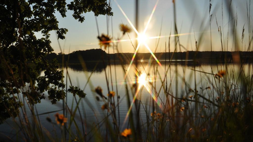 Penzion a wellness U Třeboňské madony Kültér fotó